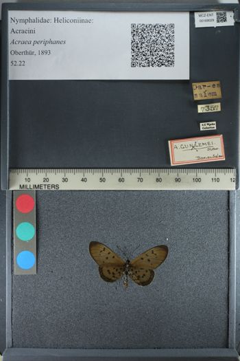 Media type: image;   Entomology 169029